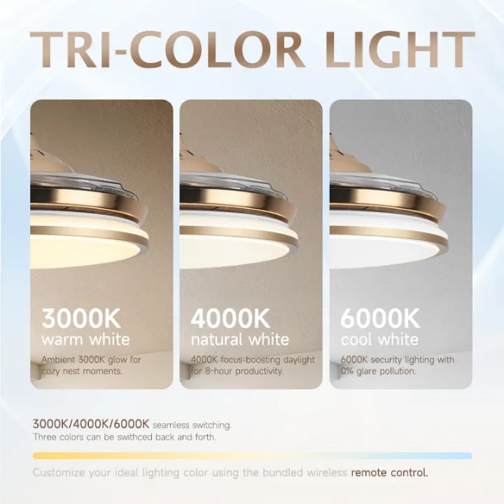 Alpha Golden 42" Ceiling Fan with Light - Image 8